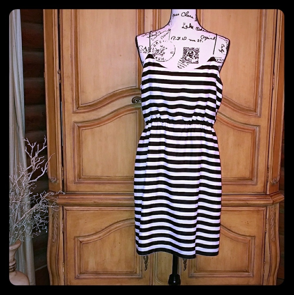 Beautiful J Crew Dress